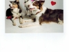 Tonk, Giddy, Chica
